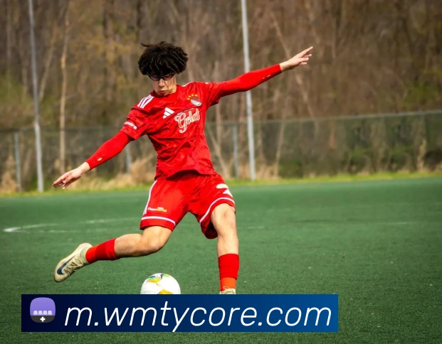 App Interface Preview