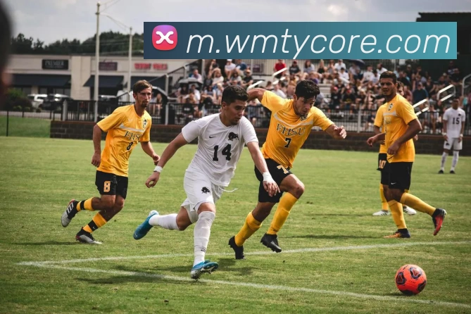 完美体育APP 封面图